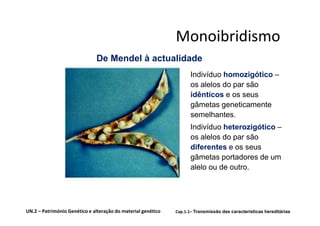 Monoibridismo
                              De Mendel à actualidade
                                                                    Indivíduo homozigótico –
                                                                    os alelos do par são
                                                                    idênticos e os seus
                                                                    gâmetas geneticamente
                                                                    semelhantes.
                                                                    Indivíduo heterozigótico –
                                                                    os alelos do par são
                                                                    diferentes e os seus
                                                                    gâmetas portadores de um
                                                                    alelo ou de outro.




UN.2 – Património Genético e alteração do material genético   Cap.1.1– Transmissão das características hereditárias
 