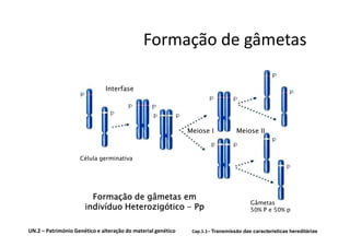 Formação de gâmetas

                               Interfase




                                                              Meiose I           Meiose II



                    Célula germinativa




                        Formação de gâmetas em
                                                                                       Gâmetas
                      indivíduo Heterozigótico - Pp                                    50% P e 50% p


UN.2 – Património Genético e alteração do material genético    Cap.1.1– Transmissão das características hereditárias
 