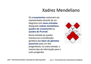 Xadrez Mendeliano
                                Os cruzamentos costumam ser
                                representados através de um
                                diagrama com duas entradas
                                designado xadrez mendeliano,
                                quadro de cruzamento ou
                                quadro de Punnett.
                                Numa entrada do quadro
                                inscreve-se a constituição
                                genética dos tipos de gâmetas
                                possíveis para um dos
                                progenitores; na outra entrada, o
                                mesmo tipo de informação para o
                                outro progenitor.


UN.2 – Património Genético e alteração do material genético   Cap.1.1– Transmissão das características hereditárias
 