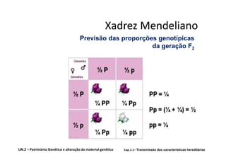 Xadrez Mendeliano
                                      Previsão das proporções genotípicas
                                                            da geração F2




UN.2 – Património Genético e alteração do material genético   Cap.1.1– Transmissão das características hereditárias
 