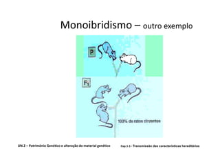 Monoibridismo – outro exemplo




UN.2 – Património Genético e alteração do material genético   Cap.1.1– Transmissão das características hereditárias
 