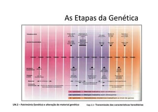 As Etapas da Genética




UN.2 – Património Genético e alteração do material genético   Cap.1.1– Transmissão das características hereditárias
 