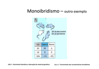 Monoibridismo – outro exemplo




UN.2 – Património Genético e alteração do material genético   Cap.1.1– Transmissão das características hereditárias
 