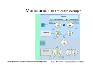 Monoibridismo – outro exemplo




UN.2 – Património Genético e alteração do material genético   Cap.1.1– Transmissão das características hereditárias
 