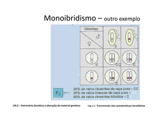Monoibridismo – outro exemplo




UN.2 – Património Genético e alteração do material genético   Cap.1.1– Transmissão das características hereditárias
 
