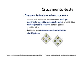 Cruzamento-teste
                             Cruzamento-teste ou retrocruzamento
                                 Cruzamento entre um indivíduo com fenótipo
                                 dominante e genótipo desconhecido e um indivíduo
                                 homozigótico recessivo, para os genes
                                 considerados.
                                 Funciona para descendências numerosas
                                 significativas.




UN.2 – Património Genético e alteração do material genético   Cap.1.1– Transmissão das características hereditárias
 