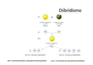 Diibridismo




UN.2 – Património Genético e alteração do material genético   Cap.1.1– Transmissão das características hereditárias
 