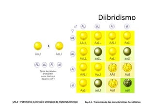 Diibridismo




UN.2 – Património Genético e alteração do material genético   Cap.1.1– Transmissão das características hereditárias
 