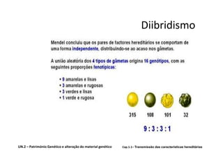 Diibridismo




UN.2 – Património Genético e alteração do material genético   Cap.1.1– Transmissão das características hereditárias
 