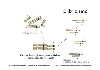 Diibridismo


                  Célula germinativa




                Formação de gâmetas em indivíduos
                      heterozigóticos - AaLl
                                                                          Gâmetas
                                                                          25% AL, 25% Al, 25% aL e 25% al
UN.2 – Património Genético e alteração do material genético   Cap.1.1– Transmissão das características hereditárias
 