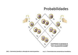 Probabilidades




                                                                            Probabilidade de segregação de
                                                                            alelos e de fecundação (analogia
                                                                             com o lançamento de moedas)



UN.2 – Património Genético e alteração do material genético   Cap.1.1– Transmissão das características hereditárias
 