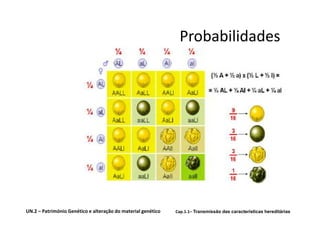 Probabilidades




UN.2 – Património Genético e alteração do material genético   Cap.1.1– Transmissão das características hereditárias
 
