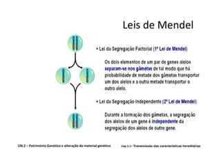Leis de Mendel




UN.2 – Património Genético e alteração do material genético   Cap.1.1– Transmissão das características hereditárias
 