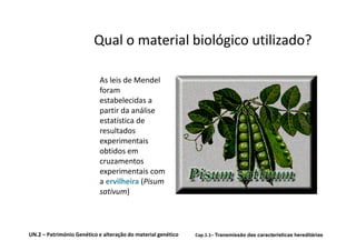Qual o material biológico utilizado?

                           As leis de Mendel
                           foram
                           estabelecidas a
                           partir da análise
                           estatística de
                           resultados
                           experimentais
                           obtidos em
                           cruzamentos
                           experimentais com
                           a ervilheira (Pisum
                           sativum)



UN.2 – Património Genético e alteração do material genético   Cap.1.1– Transmissão das características hereditárias
 