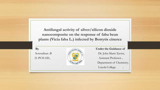 Antifungal activity of silver/silicon dioxide
nanocomposite on the response of faba bean
plants (Vicia faba L.) infected by Botrytis cinerea
By Under the Guidance of
Sowradisan .B Dr. John Maria Xavier,
21-PCH-020, Assistant Professor ,
Department of Chemistry,
Loyola College. 1
 