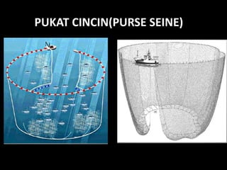 PUKAT CINCIN(PURSE SEINE)
 