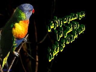 } ‫البقرة‬117
 