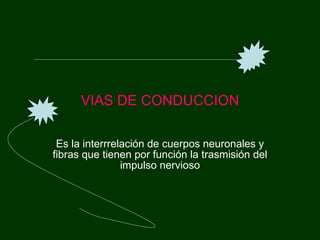 VIAS DE CONDUCCION Es la interrrelación de cuerpos neuronales y fibras que tienen por función la trasmisión del impulso nervioso 
