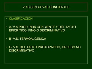 VIAS SENSITIVAS CONCIENTES CLASIFICACION A- V.S.PROFUNDA CONCIENTE Y DEL TACTO EPICRITICO, FINO O DISCRIMINATIVO B- V.S. TERMOALGESICA C- V.S. DEL TACTO PROTOPATICO, GRUESO NO DISCRIMINATIVO 