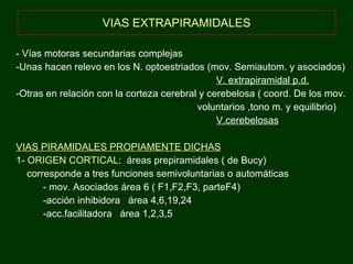 VIAS EXTRAPIRAMIDALES - Vías motoras secundarias complejas -Unas hacen relevo en los N. optoestriados (mov. Semiautom. y asociados) V. extrapiramidal p.d. -Otras en relación con la corteza cerebral y cerebelosa ( coord. De los mov. voluntarios ,tono m. y equilibrio) V.cerebelosas VIAS PIRAMIDALES PROPIAMENTE DICHAS 1- ORIGEN CORTICAL :  áreas prepiramidales ( de Bucy) corresponde a tres funciones semivoluntarias o automáticas - mov. Asociados área 6 ( F1,F2,F3, parteF4) -acción inhibidora  área 4,6,19,24 -acc.facilitadora  área 1,2,3,5  