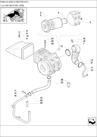 PUMA 210 CASE IH TRACTOR (1/07- )
1.19.1 DRY AIR FILTER - PIPES
 