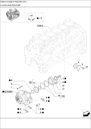 PUMA 210 CASE IH TRACTOR (1/07- )
0.14.0(01) INJECTION PUMP
 