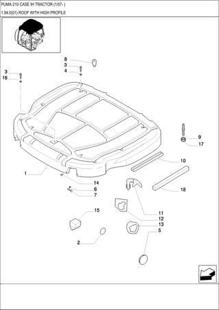 PUMA 210 CASE IH TRACTOR (1/07- )
1.94.0(01) ROOF WITH HIGH PROFILE
 