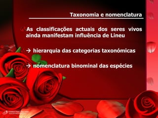 Taxonomia e nomenclatura As classificações actuais dos seres vivos ainda manifestam influência de Lineu    hierarquia das categorias taxonómicas    nomenclatura binominal das espécies 