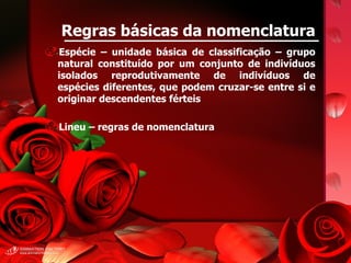 Regras básicas da nomenclatura Espécie – unidade básica de classificação – grupo natural constituído por um conjunto de indivíduos isolados reprodutivamente de indivíduos de espécies diferentes, que podem cruzar-se entre si e originar descendentes férteis Lineu – regras de nomenclatura 