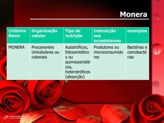 Monera Critérios Reino Organização celular Tipo de nutrição Interacção nos ecossistemas exemplos MONERA Procariontes Unicelulares ou coloniais Autotróficos, fotossintéticos ou quimiossintéticos, heterotróficos (absorção) Produtores ou microconsumidores Bactérias e cianobactérias 