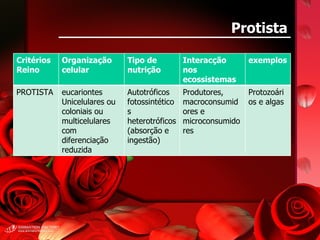 Protista Critérios Reino Organização celular Tipo de nutrição Interacção nos ecossistemas exemplos PROTISTA eucariontes Unicelulares ou coloniais ou multicelulares com diferenciação reduzida Autotróficos fotossintéticos heterotróficos (absorção e ingestão) Produtores, macroconsumidores e microconsumidores Protozoários e algas 