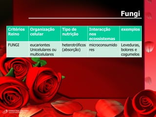 Fungi Critérios Reino Organização celular Tipo de nutrição Interacção nos ecossistemas exemplos FUNGI eucariontes Unicelulares ou multicelulares heterotróficos (absorção) microconsumidores Leveduras, bolores e cogumelos 