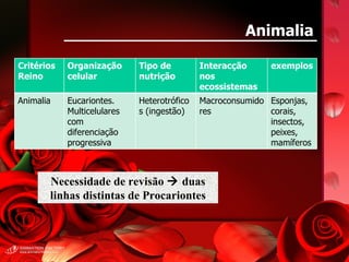 Animalia Necessidade de revisão    duas linhas distintas de Procariontes Critérios Reino Organização celular Tipo de nutrição Interacção nos ecossistemas exemplos Animalia  Eucariontes. Multicelulares com diferenciação progressiva Heterotróficos (ingestão) Macroconsumidores Esponjas, corais, insectos, peixes, mamíferos 