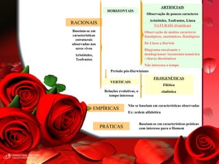 RACIONAIS PRÁTICAS HORIZONTAIS VERTICAIS FILOGENÉTICAS Filética cladística ARTIFICIAIS Observação de poucos caracteres Aristóteles, Teofrastos, Lineu NATURAIS (Fenéticas) Observação de muitos caracteres fenotípicos, anatómicos, fisiológicos De Lineu a Darwin Diagrama encaixante e dendogramas/ taxonomia numérica / chaves dicotómicas Não interessa o tempo Não se baseiam em características observadas Ex: ordem alfabética EMPÍRICAS Baseiam-se em características práticas com interesse para o Homem Baseiam-se em características estruturais observadas nos seres vivos Aristóteles, Teofrastos Período pós-Darwiniano Relações evolutivas, o tempo interessa 