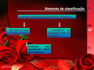 Sistemas de classificação As classificações fenéticas podem existir actualmente –  não têm em conta as relações evolutivas –  baseiam-se na semelhança entre os organismos Permitem uma classificação rápida dos organismos 