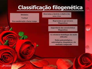 Classificação filogenética Dinâmica Vertical Em consideração o factor tempo Determina a história evolutiva dos seres vivos Representa-se por árvores filogenéticas Importância das características filogenéticas As estruturas homólogas são muito utilizadas Dados paleontológicos, embriológicos, bioquímicos e de anatomia comparada 