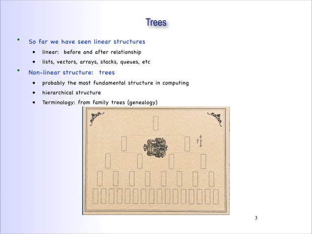 210 trees | PPT