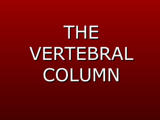 THE
VERTEBRAL
 COLUMN
 