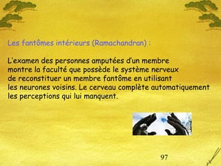 97
Les fantômes intérieurs (Ramachandran) :
L’examen des personnes amputées d’un membre
montre la faculté que possède le système nerveux
de reconstituer un membre fantôme en utilisant
les neurones voisins. Le cerveau complète automatiquement
les perceptions qui lui manquent.
 