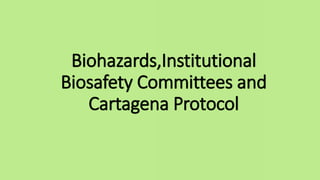 Biohazards,Institutional
Biosafety Committees and
Cartagena Protocol
 