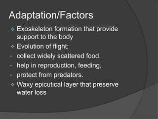Adaptation/Factors
 Exoskeleton formation that provide
support to the body
 Evolution of flight;
• collect widely scatte...