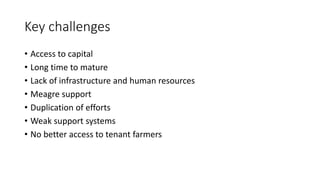Key challenges
• Access to capital
• Long time to mature
• Lack of infrastructure and human resources
• Meagre support
• Duplication of efforts
• Weak support systems
• No better access to tenant farmers
 