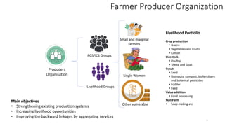 Farmer Producer Organization
5
Small and marginal
farmers
Single Women
Other vulnerable
PGS/ICS Groups
Livelihood Groups
Producers
Organisation
Livelihood Portfolio
Crop production
• Grains
• Vegetables and Fruits
• Cotton
Livestock
• Poultry
• Sheep and Goat
Inputs
• Seed
• Bioinputs: compost, biofertilisers
and botanical pesticides
• Fodder
• Feed
Value addition
• Food processing
Non Farm
• Soap making etc
Main objectives
• Strengthening existing production systems
• Increasing livelihood opportunities
• Improving the backward linkages by aggregating services
 