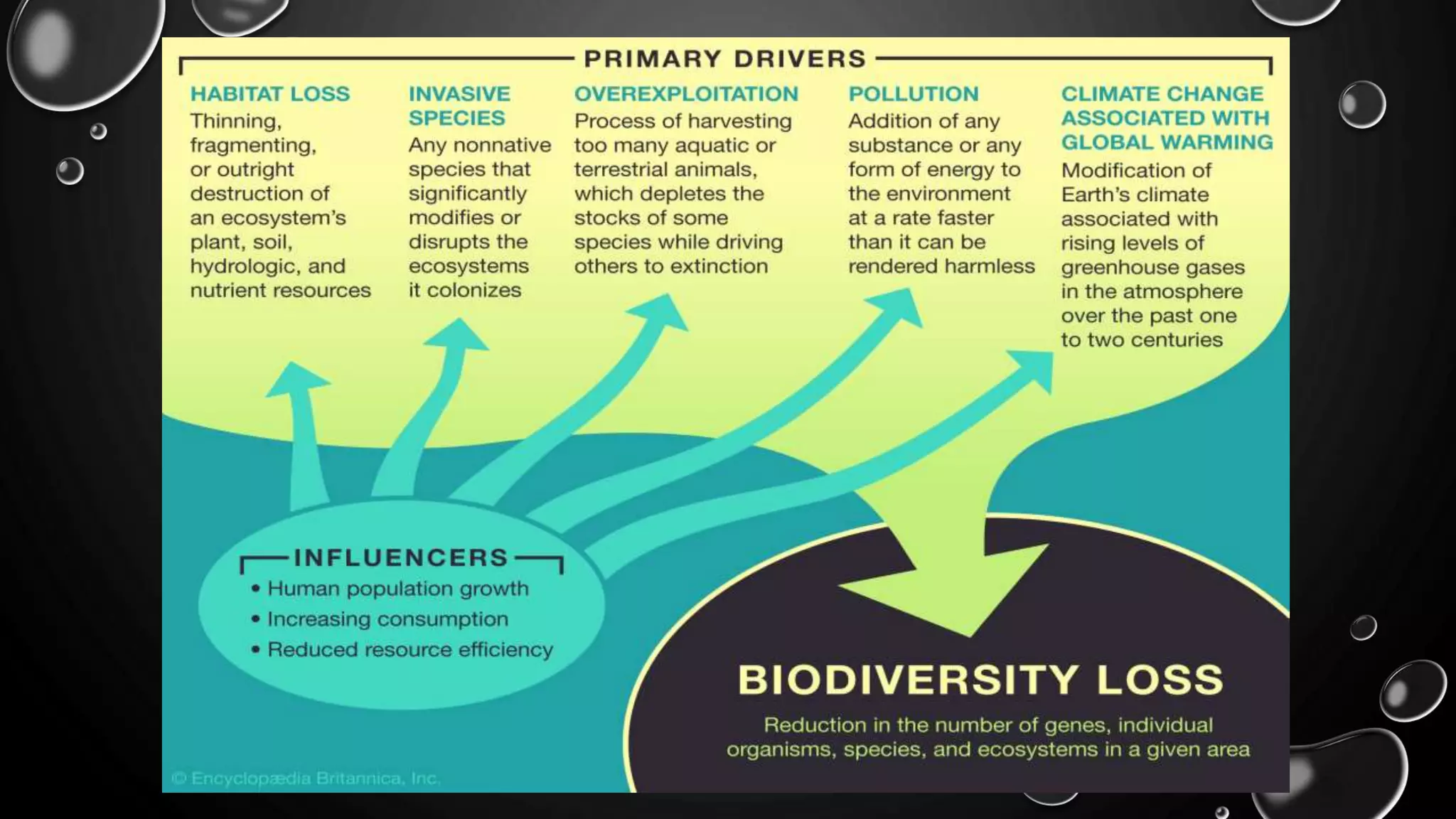 210130103003 Global Environmental Issue.pptx