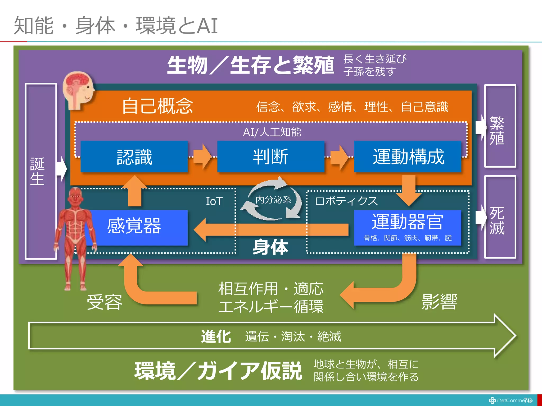 知能・身体・環境とAI
76
生物／生存と繁殖
自己概念 信念、欲求、感情、理性、自己意識
感覚器 運動器官
骨格、関節、筋肉、靭帯、腱
環境／ガイア仮説
身体
影響
受容
相互作用・適応
エネルギー循環
誕
生
死
滅
進化 遺伝・淘汰・絶滅
IoT ロボティクス
地球と生物が、相互に
関係し合い環境を作る
認識 判断 運動構成
AI/人工知能
繁
殖
長く生き延び
子孫を残す
内分泌系
 