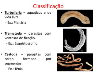 Classificação
• Turbellaria – aquáticos e de
vida livre.
- Ex.: Planária
• Trematoda – parasitas com
ventosas de fixação.
- Ex.: Esquistossomo
• Cestoda – parasitas com
corpo formado por
segmentos.
- Ex.: Tênia
 