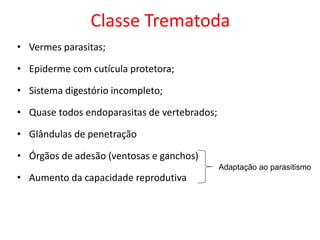 Classe Trematoda
• Vermes parasitas;
• Epiderme com cutícula protetora;
• Sistema digestório incompleto;
• Quase todos endoparasitas de vertebrados;
• Glândulas de penetração
• Órgãos de adesão (ventosas e ganchos)
• Aumento da capacidade reprodutiva
Adaptação ao parasitismo
 
