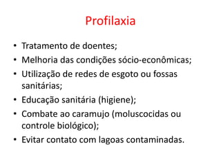 Profilaxia
• Tratamento de doentes;
• Melhoria das condições sócio-econômicas;
• Utilização de redes de esgoto ou fossas
sanitárias;
• Educação sanitária (higiene);
• Combate ao caramujo (moluscocidas ou
controle biológico);
• Evitar contato com lagoas contaminadas.
 