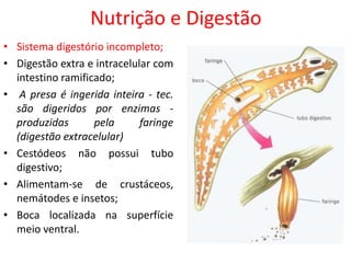 Nutrição e Digestão
• Sistema digestório incompleto;
• Digestão extra e intracelular com
intestino ramificado;
• A presa é ingerida inteira - tec.
são digeridos por enzimas -
produzidas pela faringe
(digestão extracelular)
• Cestódeos não possui tubo
digestivo;
• Alimentam-se de crustáceos,
nemátodes e insetos;
• Boca localizada na superfície
meio ventral.
 