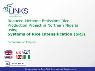 Implemented by Tetra Tech International Development
Reduced Methane Emissions Rice
Production Project in Northern Nigeria
using
Systems of Rice Intensification (SRI).
Demonstration Progress
 